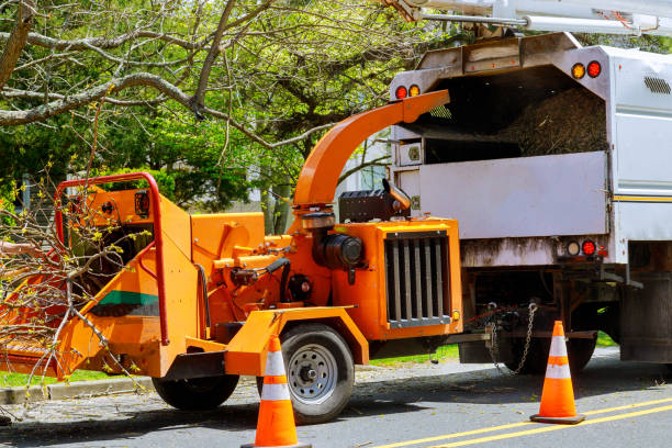 Best Tree and Shrub Care  in Midway, KY